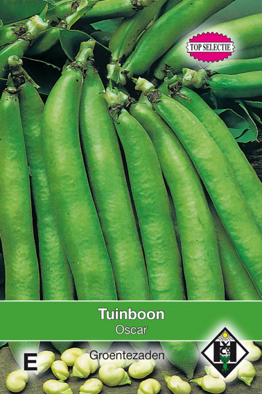 Tuinboon Oscar (Vicia faba) 60 gram